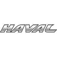 Автомобильные коврики EVA для Haval