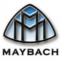 Автомобильные коврики EVA для Maybach