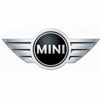 Автомобильные коврики EVA для Mini