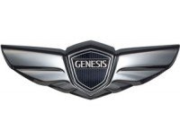 Автомобильные коврики EVA для Genesis