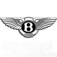 Автомобильные коврики EVA для Bentley