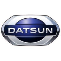 Автомобильные коврики EVA для Datsun