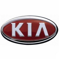 Автомобильные коврики EVA для Kia