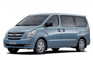 Автомобильные коврики EVA для Hyundai H1