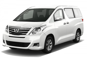 Автомобильные коврики EVA для Toyota Alphard II (2008-2014)