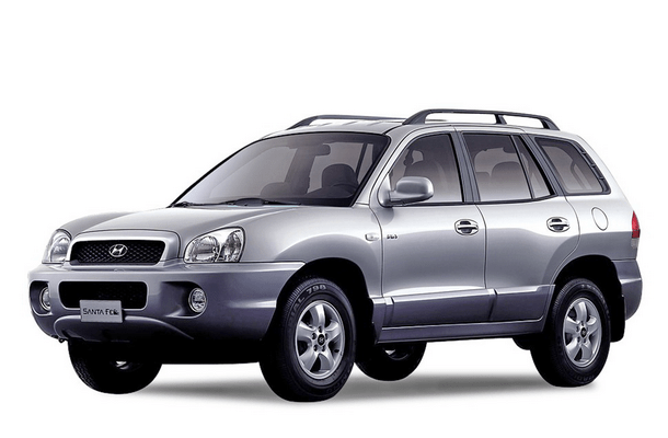 Автомобильные коврики EVA для Hyundai Santa Fe I Classic (2000-2012)