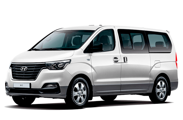 Автомобильные коврики EVA для Hyundai H1