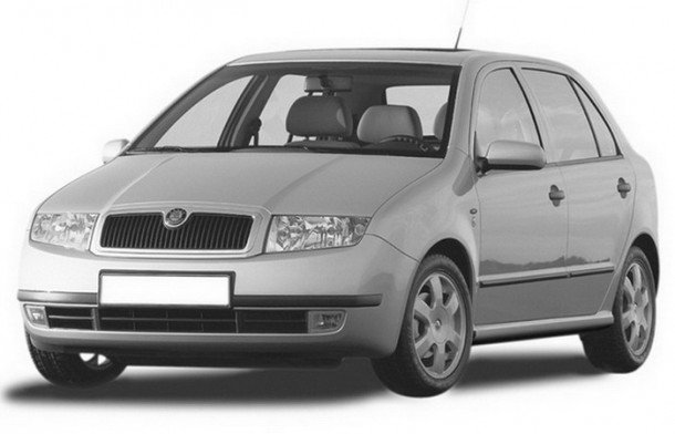 Автомобильные коврики EVA для Skoda Fabia I (1999-2007)